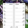 Gloednieuw ๐ฏ MGPcards - Omleg-weekkalender 2023 - Week Begint Op Zondag - Bloemen - Paars ๐ฅ 2 Gloednieuw ๐ฏ MGPcards - Omleg-weekkalender 2023 - Week Begint Op Zondag - Bloemen - Paars ๐ฅ -A-journal shop 525x840