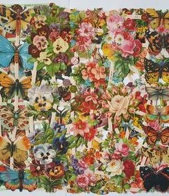 Uitgang ๐ Meer Leuks Poëzieplaatjes 7 Vellen - Vlinders, Vogels En Bloemen - Voor Poëziealbums, Bulletjournals, Scrapbooking En Het Maken Van Kaarten โ