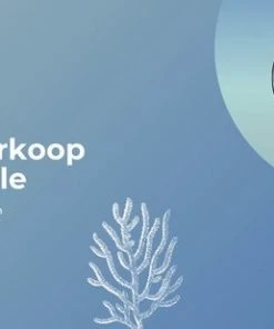 Alternative view of Groothandel ✨ Akyol Clips -clips Naaien -naai Accessoires - Hobby En Creatief -stofklemmen -wonderclips -vervaging Voor Spelden -naaien-small - | 50 Stuks | Kantoor Artikelen | Papierhouder | Clips | Clips Voor School | Kantoor | 👏