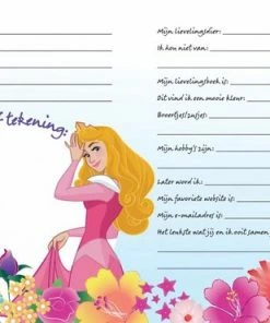 Begroting 🎁 Interstat Boek - Vriendenboek - Disney Prinsessen ⭐ -A-journal shop 550x370 1