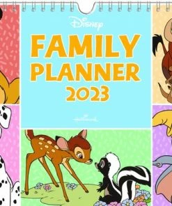 Goedkoopste ๐ Disney Familieplanner 2023 (30cm X 22cm) ๐