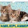 Flash-uitverkoop ✔️ Rachael Hale - Familieplanner - Kittens - Kat - 2023 👍 2 Flash-uitverkoop ✔️ Rachael Hale - Familieplanner - Kittens - Kat - 2023 👍 -A-journal shop 550x404 3