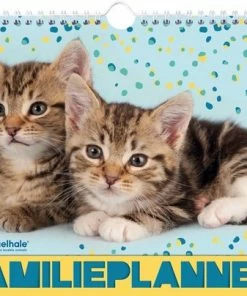Flash-uitverkoop โ๏ธ Rachael Hale - Familieplanner - Kittens - Kat - 2023 ๐