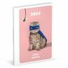 Hete verkoop 😀 Grappige Dieren Agenda 2023 - Lannoo - Verborgen Ringband - 1 Week Per 2 Pagina's - 11 X 15 Cm - Kat 🎉 -A-journal shop 550x550 120