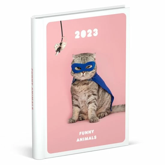 Hete verkoop 😀 Grappige Dieren Agenda 2023 - Lannoo - Verborgen Ringband - 1 Week Per 2 Pagina's - 11 X 15 Cm - Kat 🎉 3 Hete verkoop 😀 Grappige Dieren Agenda 2023 - Lannoo - Verborgen Ringband - 1 Week Per 2 Pagina's - 11 X 15 Cm - Kat 🎉
