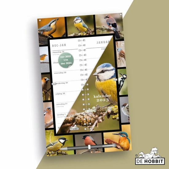 Beste recensies van โค๏ธ Uitgeverij De Hobbit BV Hobbit Omslagkalender Vogels 2023 ๐ 4 Beste recensies van โค๏ธ Uitgeverij De Hobbit BV Hobbit Omslagkalender Vogels 2023 ๐ - Afbeelding 2