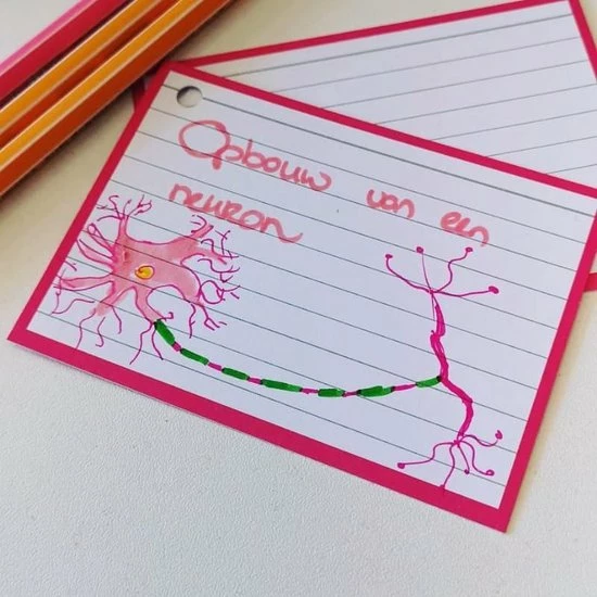 Uitgang ๐คฉ Leitner Flashcards - A7 Pakket Kleur 500 Stuks + Perforatie En 5 Ringen - 10 Pakjes In 10 Kleuren - 100% FSC Karton & 100% Gemaakt In NL ๐คฉ 8 Uitgang ๐คฉ Leitner Flashcards - A7 Pakket Kleur 500 Stuks + Perforatie En 5 Ringen - 10 Pakjes In 10 Kleuren - 100% FSC Karton & 100% Gemaakt In NL ๐คฉ - Afbeelding 6