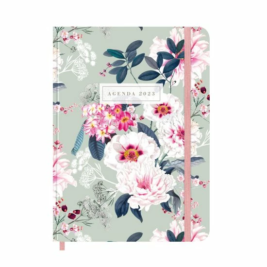 Beste recensies van โ๏ธ De Hobbit Weekagenda Bloemen 2023 ๐ 3 Beste recensies van โ๏ธ De Hobbit Weekagenda Bloemen 2023 ๐