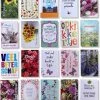 Aanbiedingen 😀 Cards & Crafts 20 Luxe Wenskaarten Beterschap Sterkte - 17x12cm - Gevouwen Kaarten Met Enveloppen 🛒 1 Aanbiedingen 😀 Cards & Crafts 20 Luxe Wenskaarten Beterschap Sterkte - 17x12cm - Gevouwen Kaarten Met Enveloppen 🛒 -A-journal shop 550x649