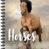 Gloednieuw โจ Edicola Paarden Agenda 2023 โ๏ธ 2 Gloednieuw โจ Edicola Paarden Agenda 2023 โ๏ธ -A-journal shop 550x665 3