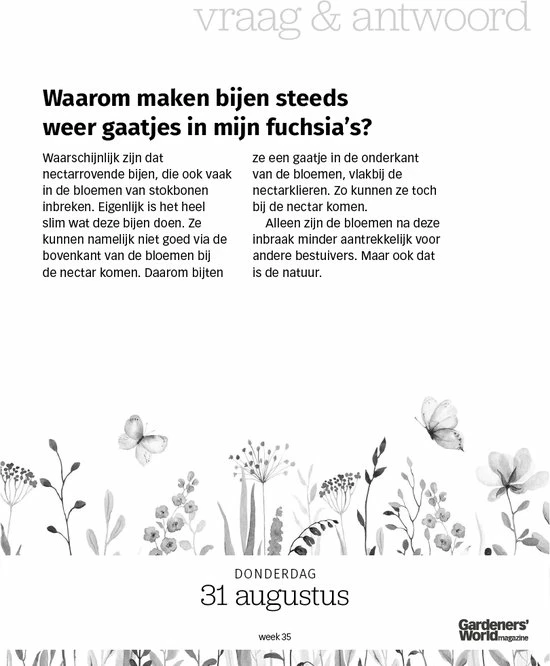 Flash-uitverkoop ๐งจ Gardeners' World Magazine Gardeners' World Scheurkalender 2023 โจ 10 Flash-uitverkoop ๐งจ Gardeners' World Magazine Gardeners' World Scheurkalender 2023 โจ - Afbeelding 8