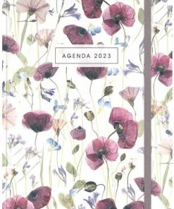 Korting ๐ De Hobbit Hobbit - Agenda Week Extra -klaprozen - 2023 - Hardcover - Week Per Pagina - 17.5x12.5cm ๐