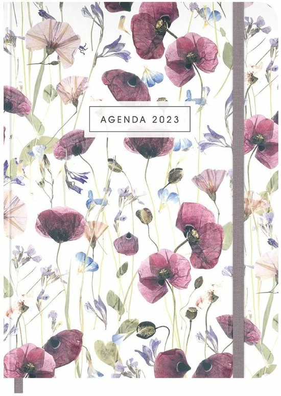 Korting 🎉 De Hobbit Hobbit - Agenda Week Extra -klaprozen - 2023 - Hardcover - Week Per Pagina - 17.5x12.5cm 🎉 3 Korting 🎉 De Hobbit Hobbit - Agenda Week Extra -klaprozen - 2023 - Hardcover - Week Per Pagina - 17.5x12.5cm 🎉