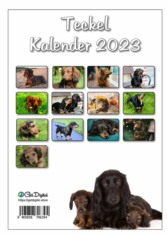 Coupon ๐ Get Digital Teckel Maandkalender 2023 ๐ฅ 4 Coupon ๐ Get Digital Teckel Maandkalender 2023 ๐ฅ - Afbeelding 2