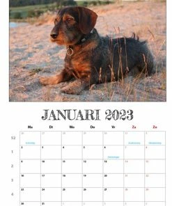 Coupon ๐ Get Digital Teckel Maandkalender 2023 ๐ฅ 8 Coupon ๐ Get Digital Teckel Maandkalender 2023 ๐ฅ -A-journal shop 550x777 12