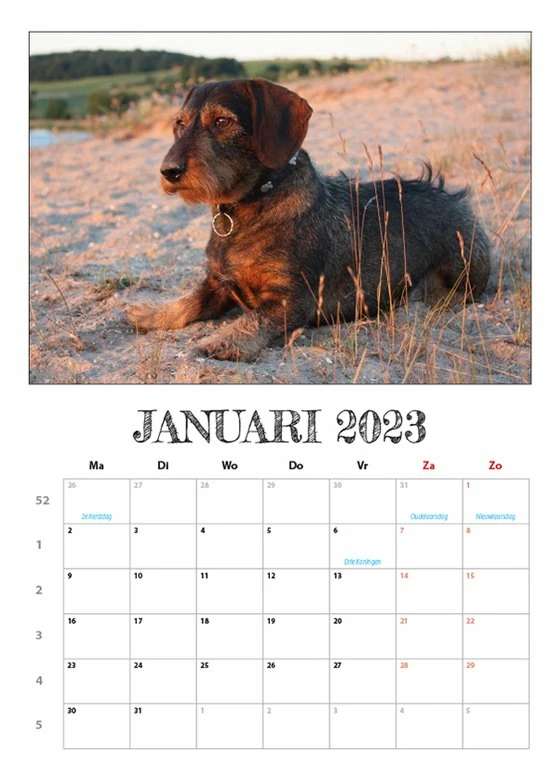 Coupon ๐ Get Digital Teckel Maandkalender 2023 ๐ฅ 5 Coupon ๐ Get Digital Teckel Maandkalender 2023 ๐ฅ - Afbeelding 3