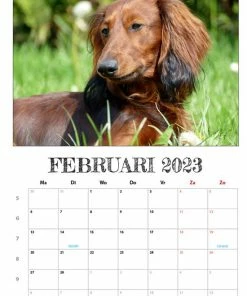 Coupon ๐ Get Digital Teckel Maandkalender 2023 ๐ฅ 9 Coupon ๐ Get Digital Teckel Maandkalender 2023 ๐ฅ -A-journal shop 550x777 13