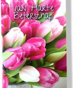 Aanbiedingen ๐ Cards & Crafts 20 Luxe Wenskaarten Beterschap Sterkte - 17x12cm - Gevouwen Kaarten Met Enveloppen ๐ 12 Aanbiedingen ๐ Cards & Crafts 20 Luxe Wenskaarten Beterschap Sterkte - 17x12cm - Gevouwen Kaarten Met Enveloppen ๐ -A-journal shop 550x804 1