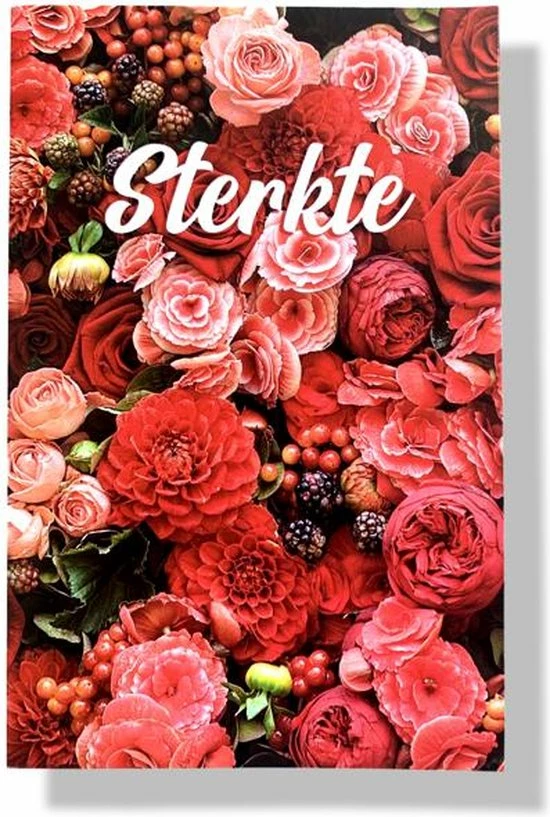 Aanbiedingen ๐ Cards & Crafts 20 Luxe Wenskaarten Beterschap Sterkte - 17x12cm - Gevouwen Kaarten Met Enveloppen ๐ 9 Aanbiedingen ๐ Cards & Crafts 20 Luxe Wenskaarten Beterschap Sterkte - 17x12cm - Gevouwen Kaarten Met Enveloppen ๐ - Afbeelding 7