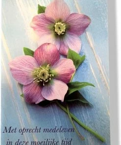 Korting 🛒 Cards & Crafts 20 Luxe Condoleance Wenskaarten Oprechte Deelneming - 17x12cm - Gevouwen Kaart Met Envelop 🛒 -A-journal shop 550x818